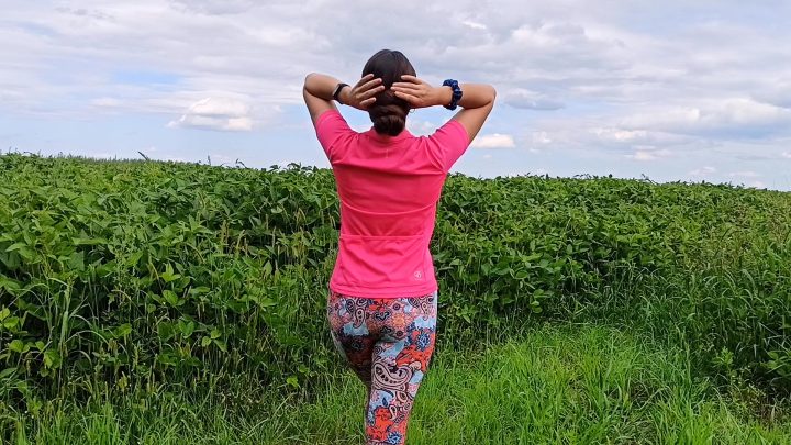 Silky Long Hair Walk in the Countryside (Doube Ponytails, Bun Drops, Combing) - Image 10